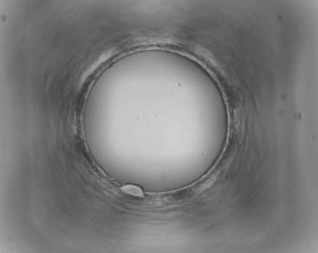 X0000074931165200609291750