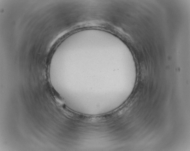 X0000074931166200609291750