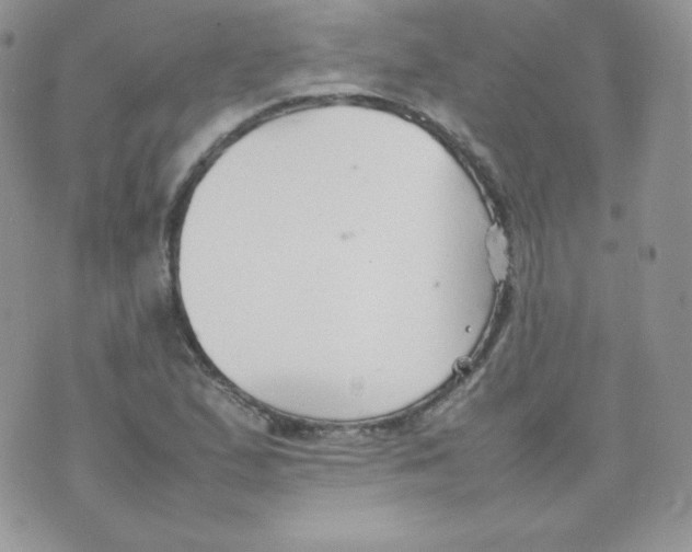 X0000074931167200609291750