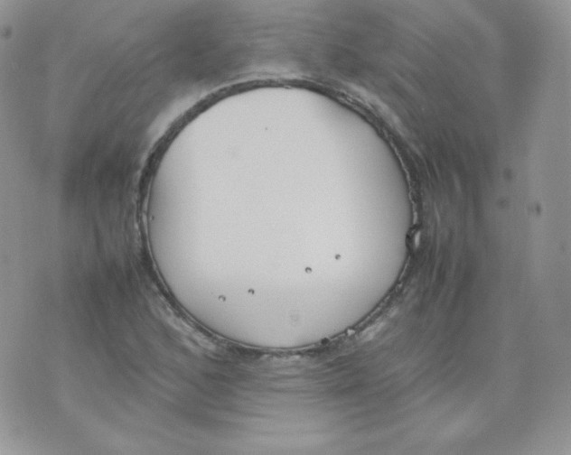 X0000074931168200609291750