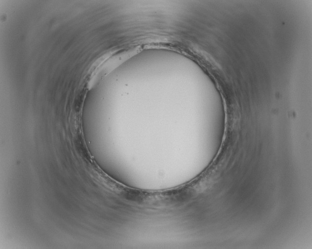 X0000074931169200609291750