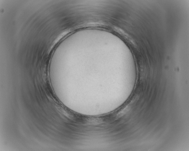 X0000074931170200609291750