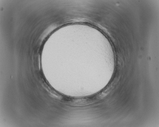 X0000074931171200609291749