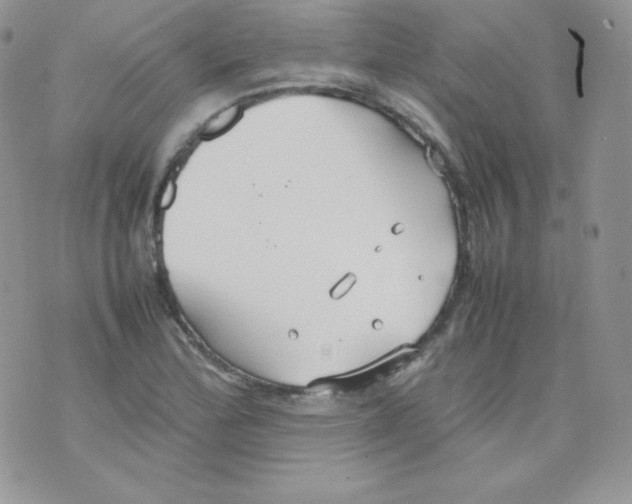 X0000074931172200609291749