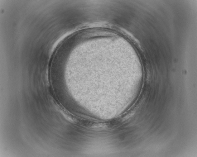 X0000074931174200609291749