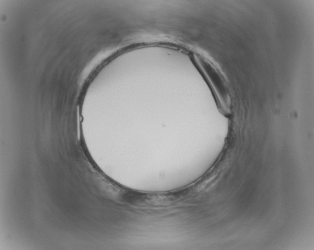 X0000074931175200609291749