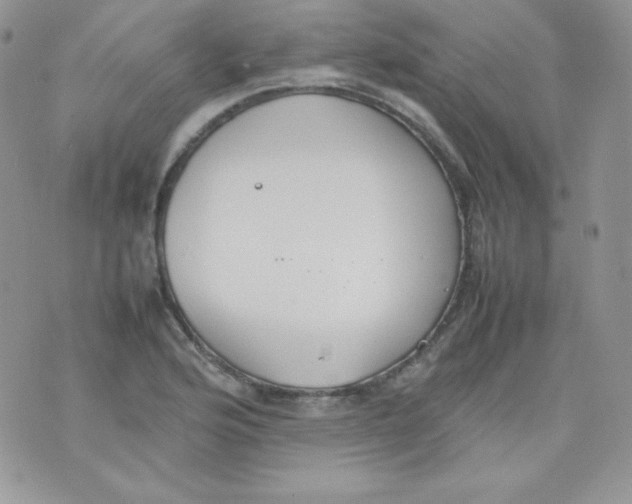 X0000074931176200609291749