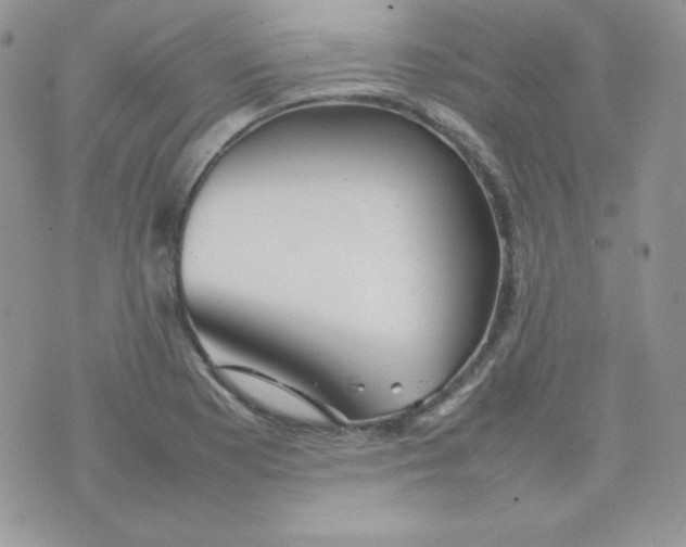 X0000074931177200609291749