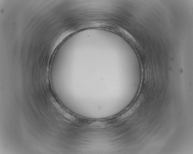 X0000074931178200609291749