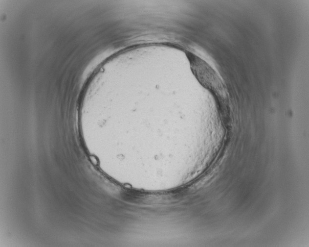 X0000074931179200609291749