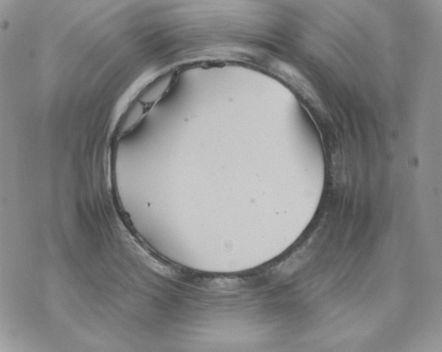 X0000074931180200609291749