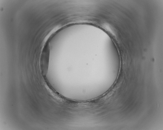 X0000074931181200609291749