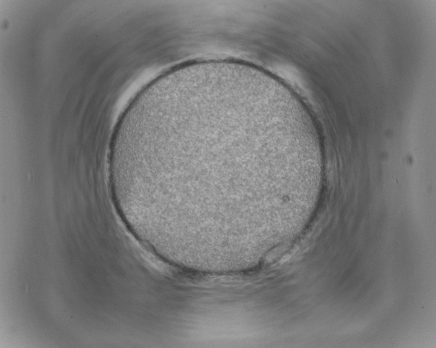 X0000074931183200609291749