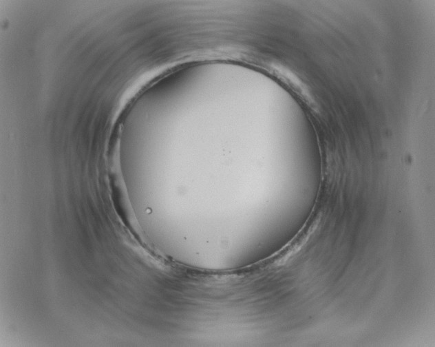 X0000074931184200609291749