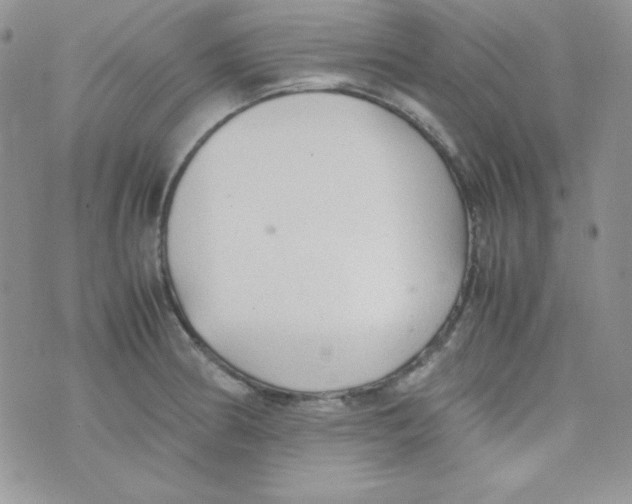 X0000074931186200609291749