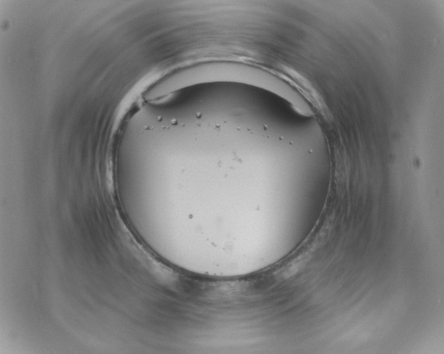 X0000074931188200609291749