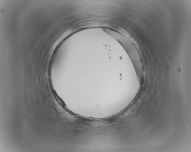 X0000074931189200609291749