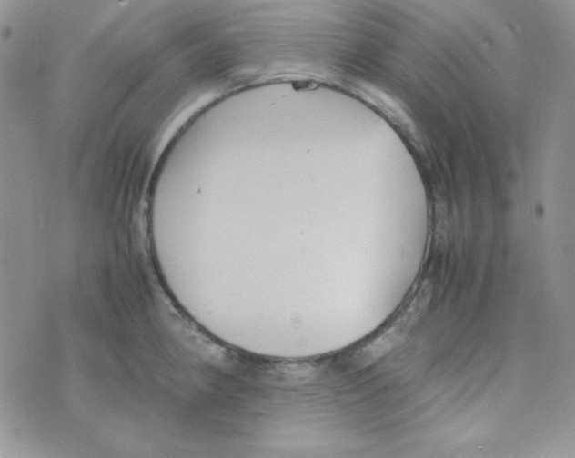 X0000074931190200609291749