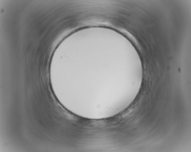 X0000074931191200609291749