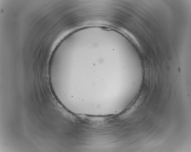 X0000074931192200609291749