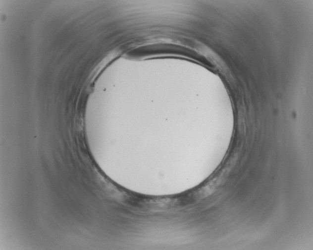 X0000074931193200609291749