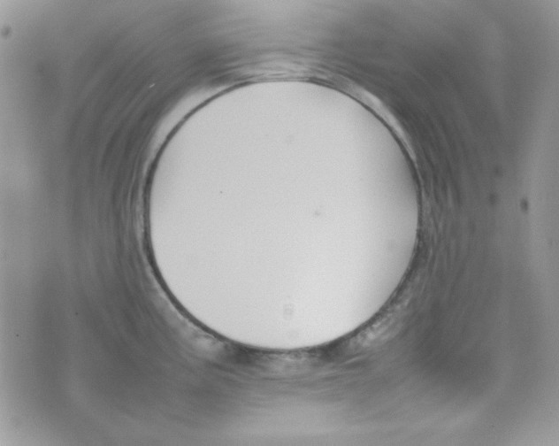 X0000074931195200609291749