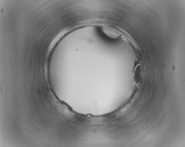 X0000074931196200609291749