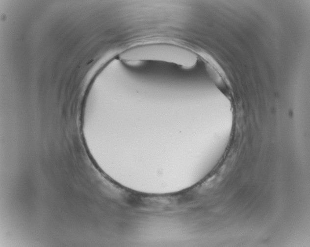 X0000074931197200609291749