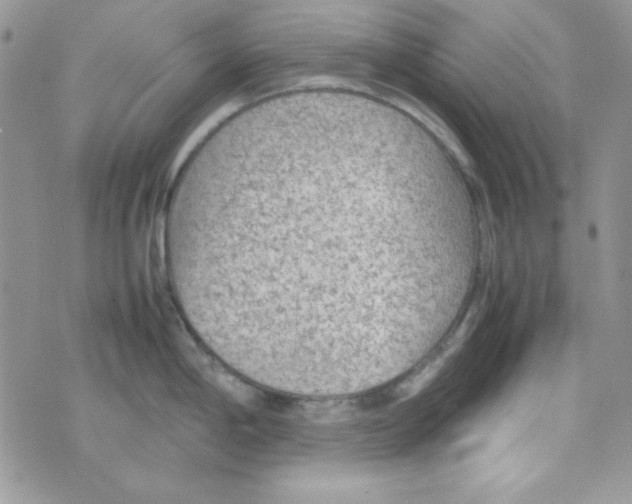 X0000074931198200609291749