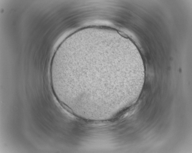 X0000074931199200609291749