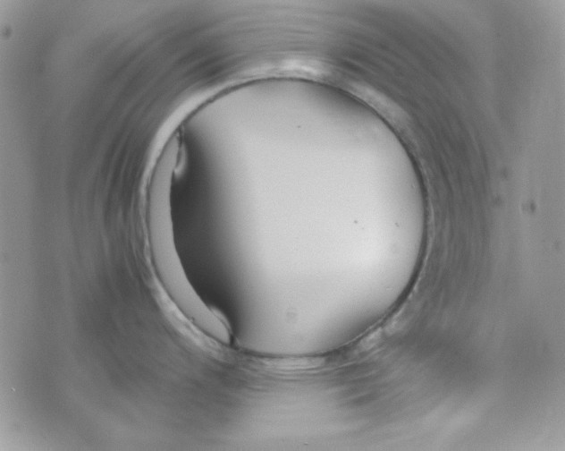 X0000074931200200609291749