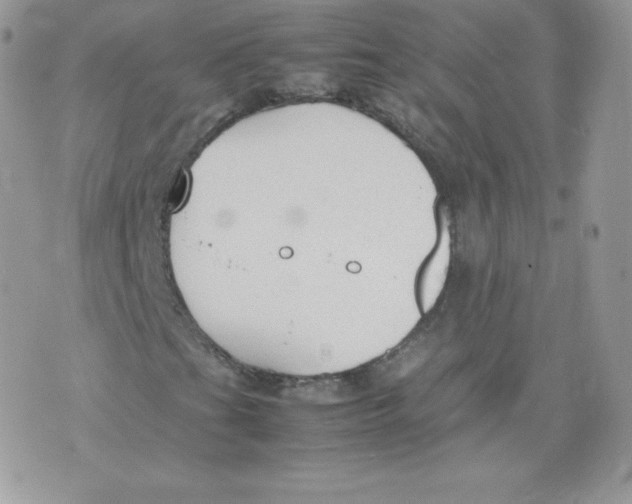 X0000074931201200609291748