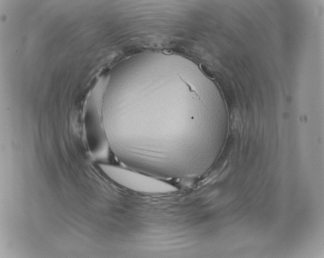 X0000074931202200609291748