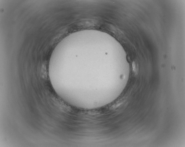 X0000074931203200609291748