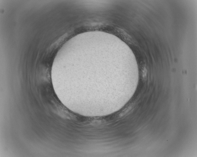 X0000074931204200609291748