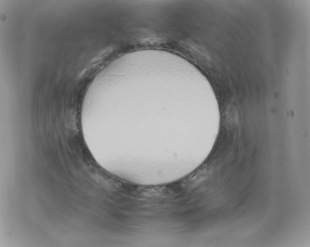 X0000074931205200609291748