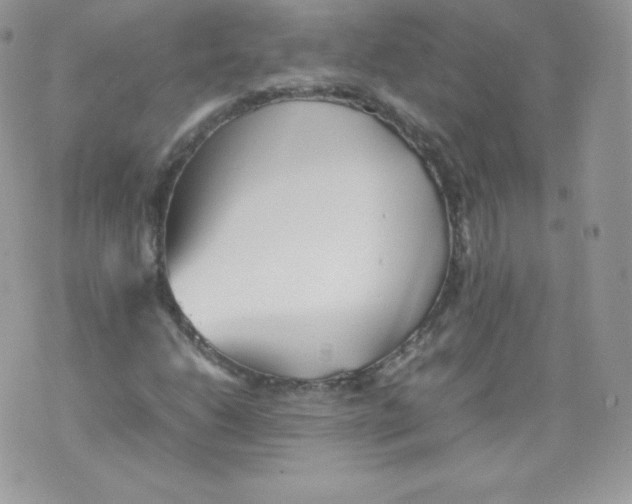 X0000074931206200609291748