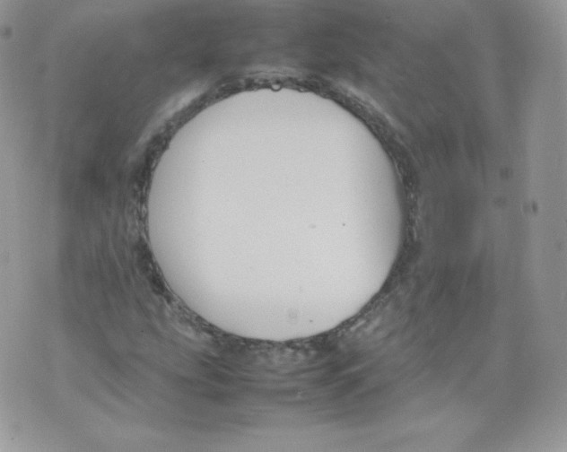 X0000074931207200609291748