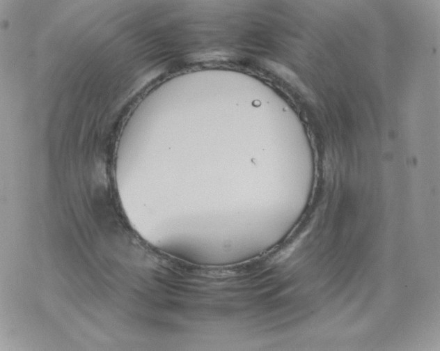 X0000074931209200609291748