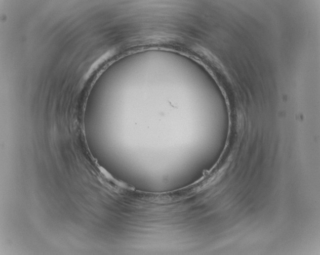 X0000074931210200609291748