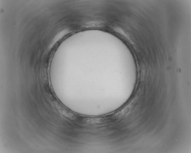 X0000074931211200609291748