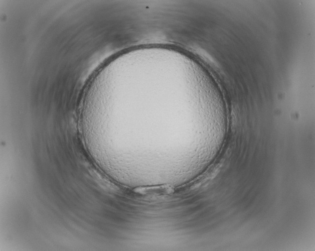 X0000074931212200609291748