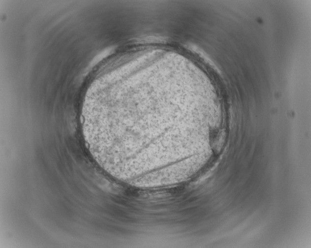 X0000074931213200609291748