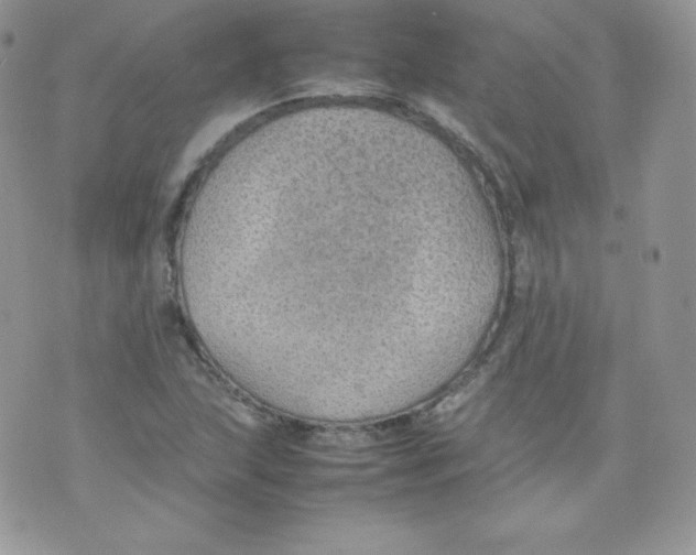 X0000074931215200609291748