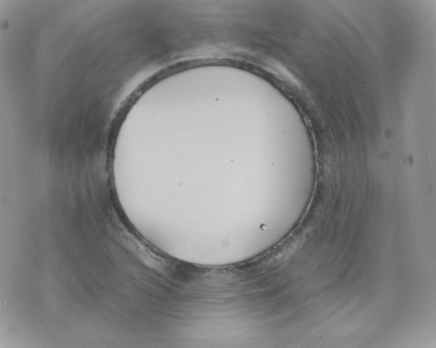 X0000074931216200609291748