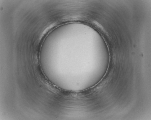 X0000074931218200609291749