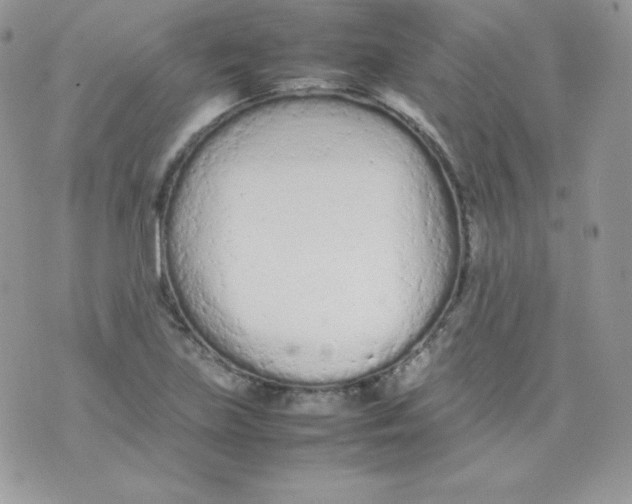 X0000074931219200609291749