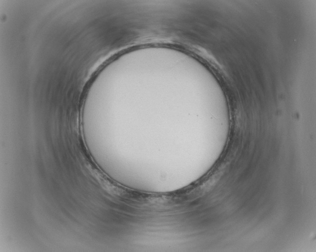 X0000074931220200609291749