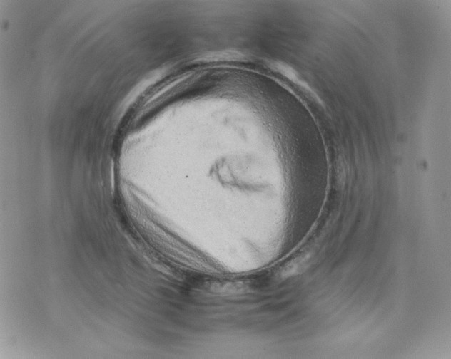 X0000074931221200609291749