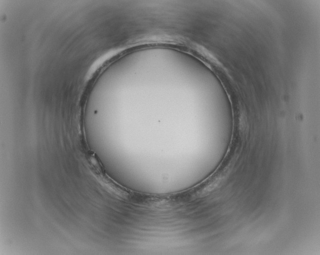 X0000074931222200609291749